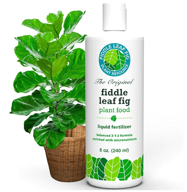 Fiddle Leaf Fig Plant Food 3-1-2 Liquid Fertilizer