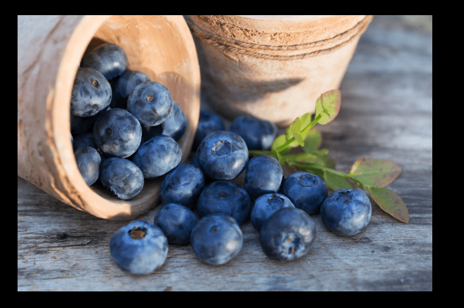 Blueberries spilling from a terracotta pot — when and how to fertilize potted blueberries
