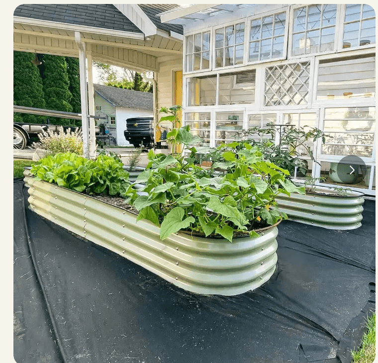 Vegega 11 inch tall calf-high corrugated metal raised garden bed
