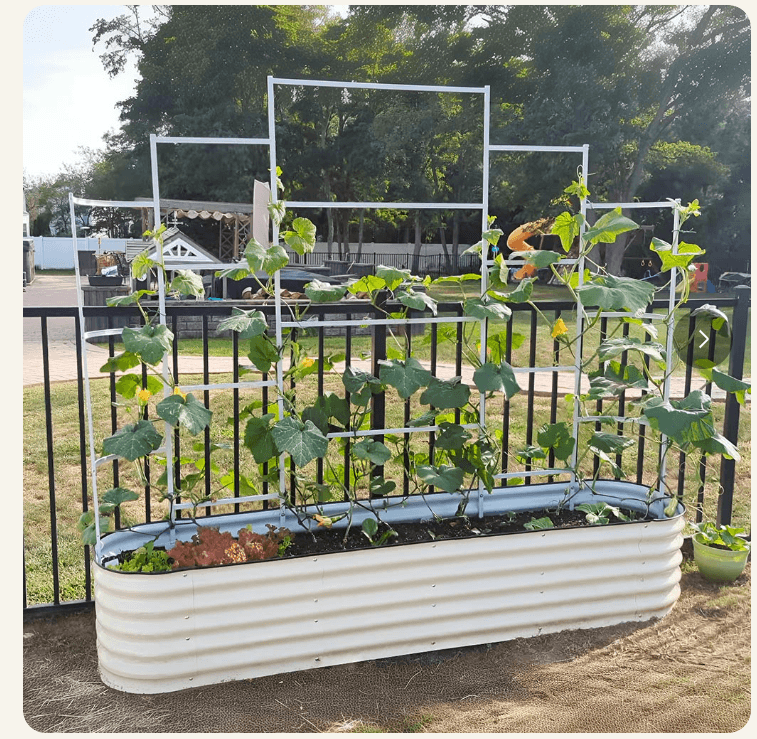 Vegega Zn-Al-Mg steel wall trellis mounted on a raised garden bed with climbing vines