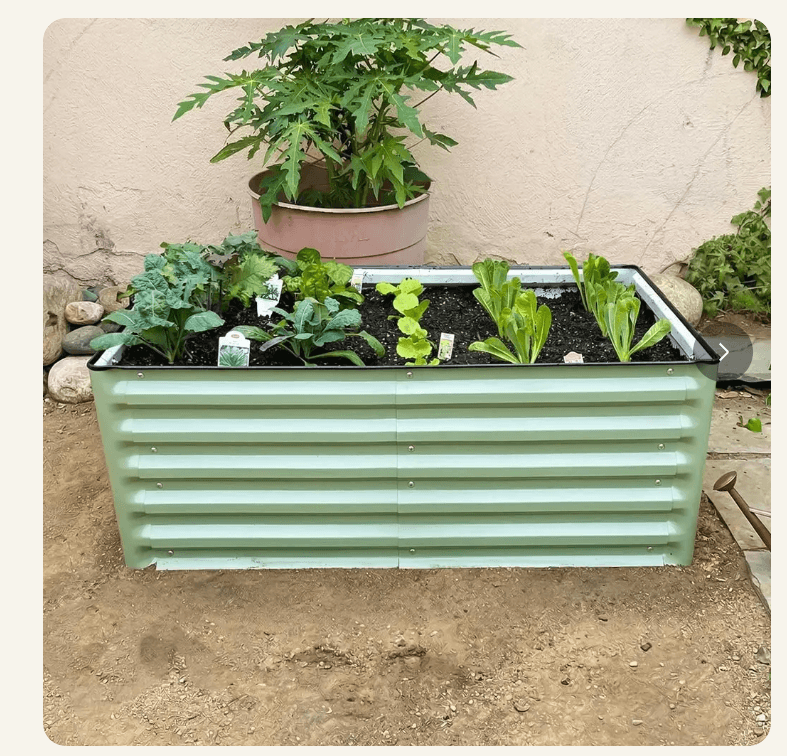 Sage green 17 inch oval raised garden bed with leafy vegetables growing, product shot