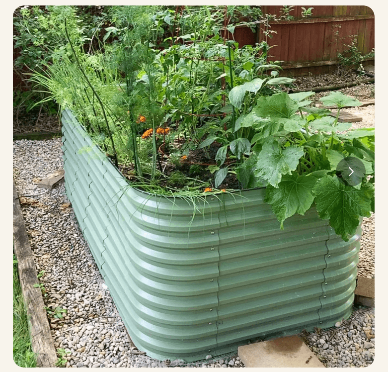 Sage green Vegega 32 inch raised garden bed filled with dill, tomatoes, and squash on a gravel bed