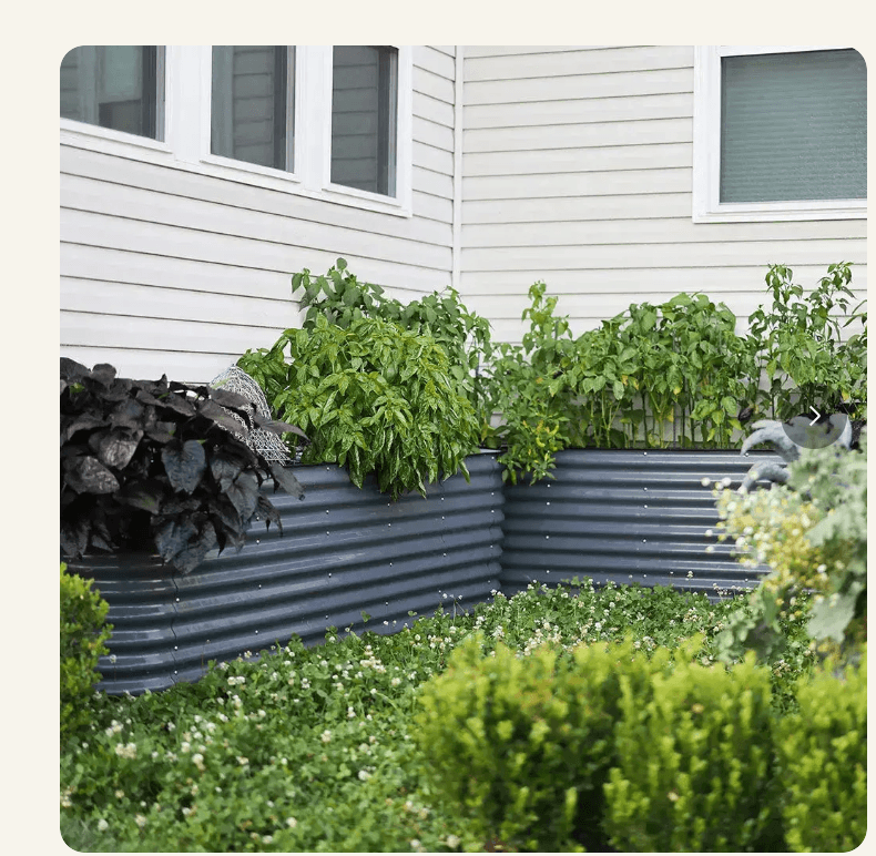 Two dark gray Vegega 32 inch tall raised garden beds arranged in an L shape along a house, growing peppers and herbs