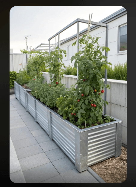 Long galvanized metal raised garden bed with tomato plants on trellises growing on a rooftop patio